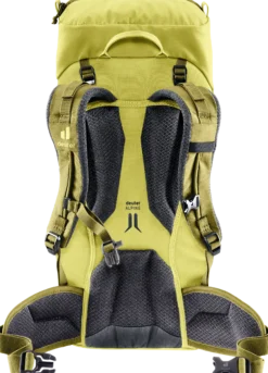 Climber 22