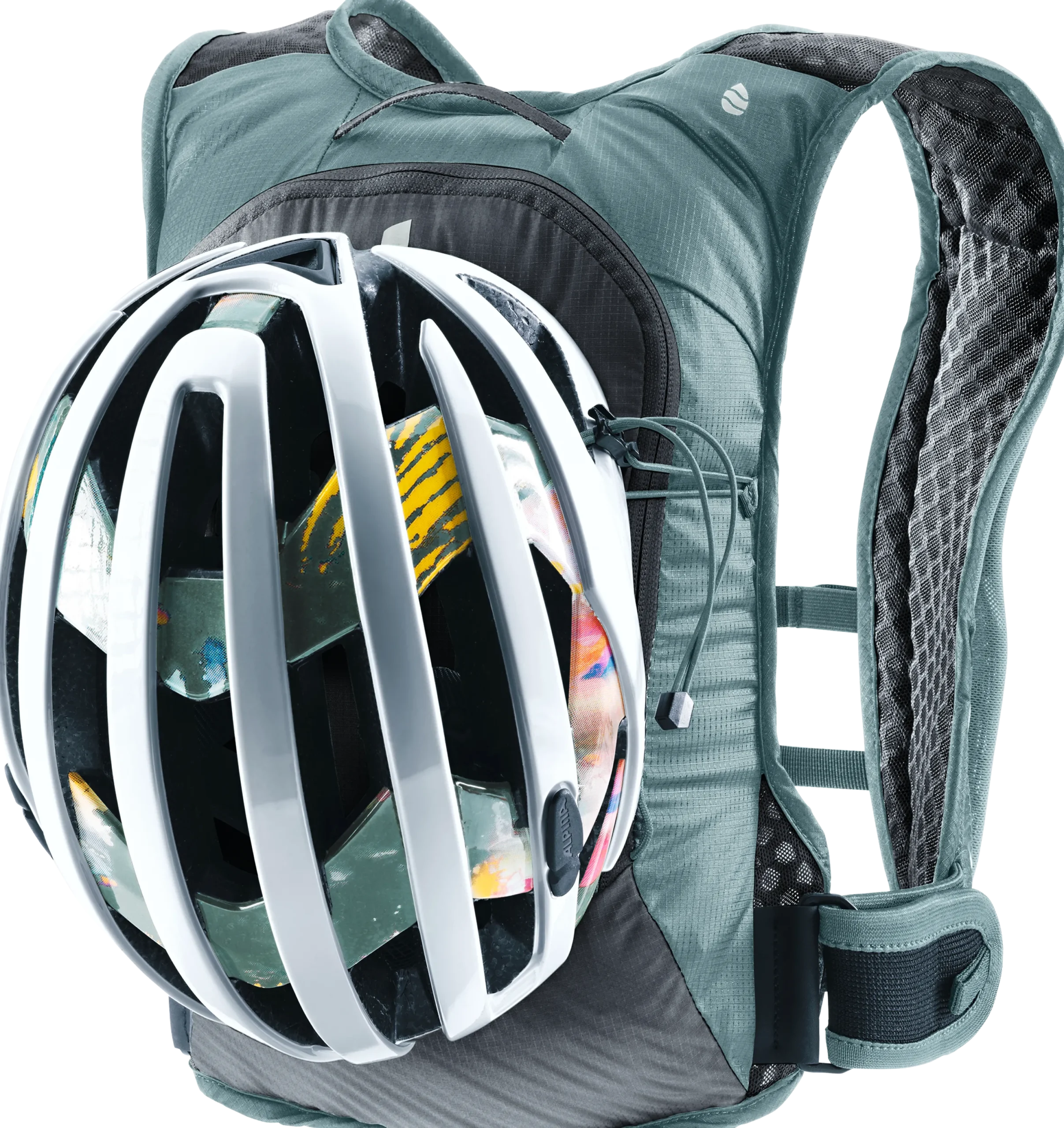 Rogla 5